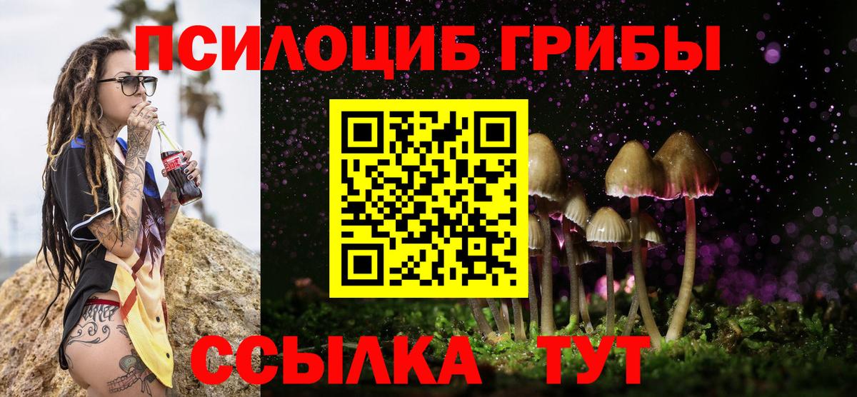 Ртищево  Псилоцибиновые грибы Psilocybine cubensis  Псилоцибиновые грибы Psilocybe  Вход с VPN 