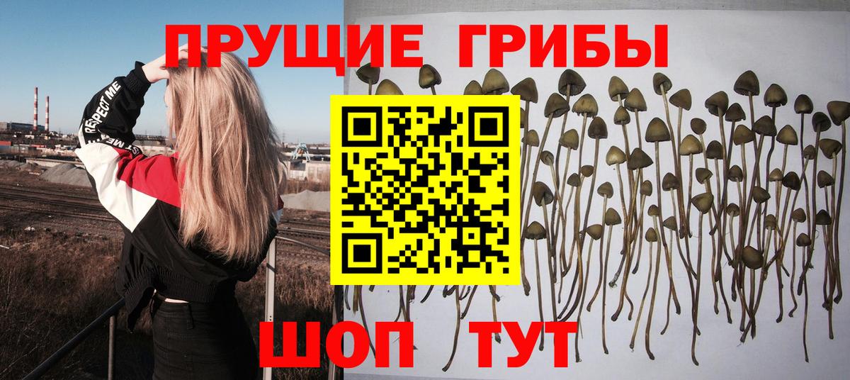 Кокаин  Марихуана  Экстази  МЕТ  Гашиш  ТГК  Вход с VPN  Магазин наркотиков  Ртищево  МЕФ  